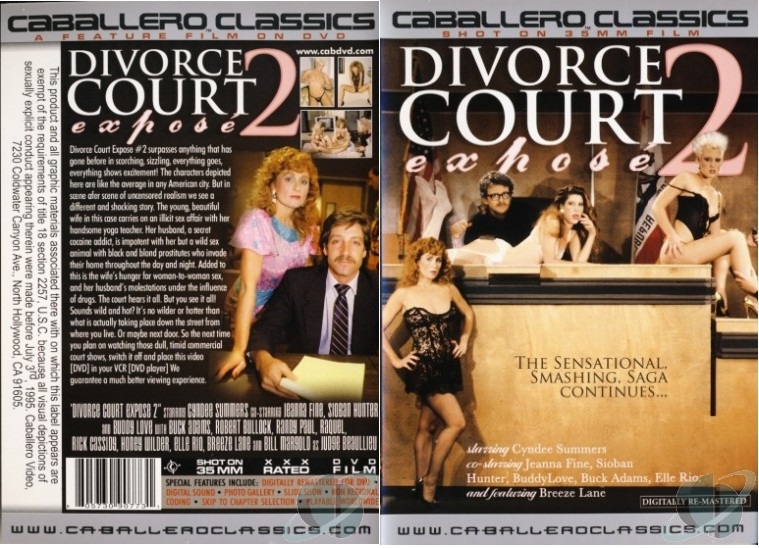 Divorce Court Expose 2 /   2 (Vincent Rossi, Vidco Entertainment) [1987 ., All sex, DVDRip]