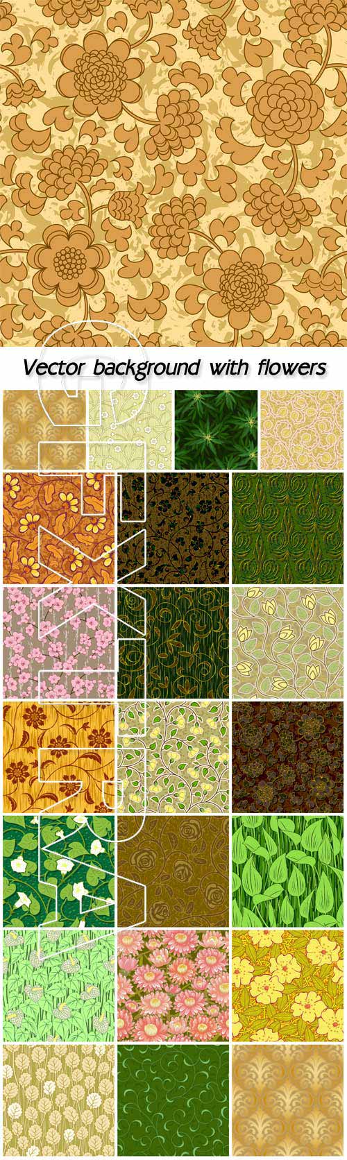 Vector background with flowers and various patterns