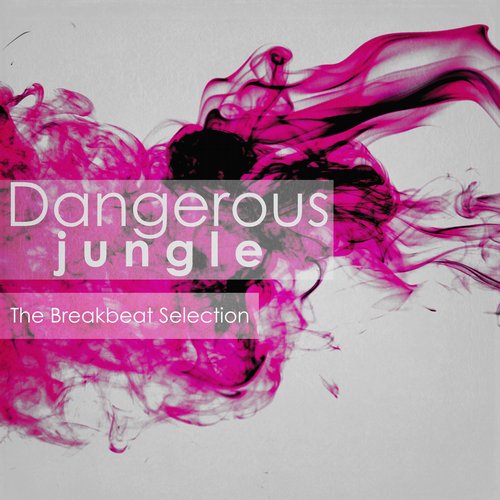 Dangerous Jungle: The Breakbeat Selection (2015) 