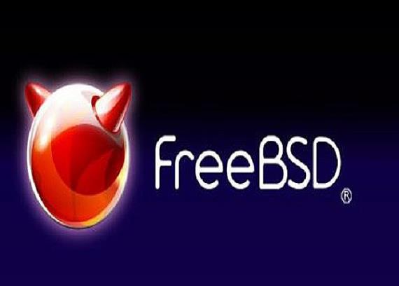     FreeBSD  (2015) WebRip