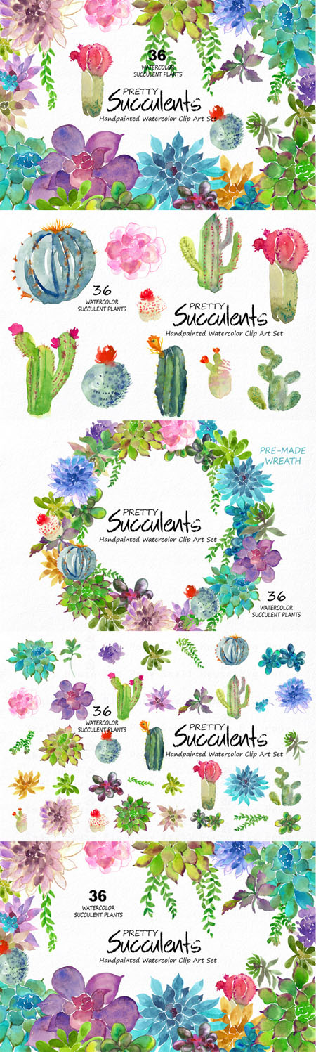 CM - Pretty Succulents- Watercolor 468795