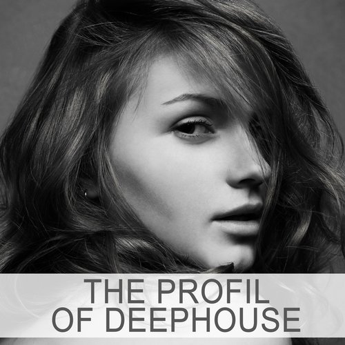 The Profil of Deephouse (2015)