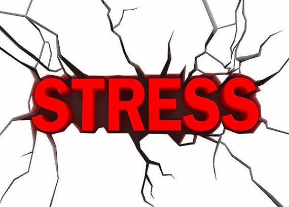 Стресс и дискомфорт — как позитивные факторы (2015) WebRip