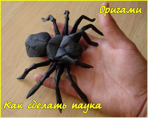  Как сделать паука. Оригами (2015) 