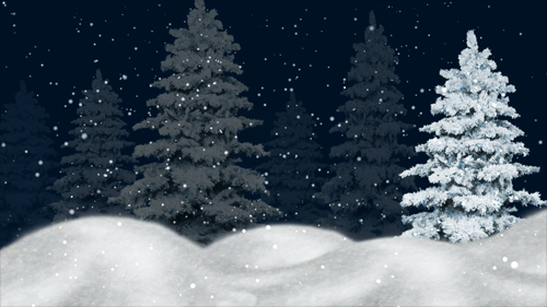 Night winter forest