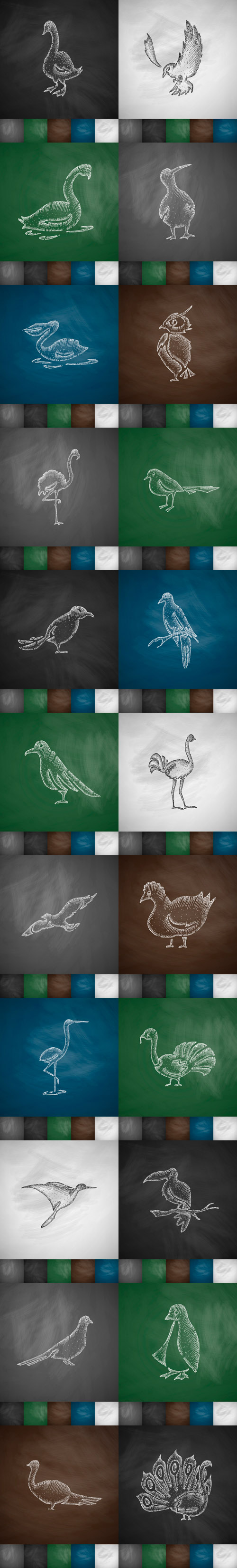 Hand drawn birds - Vectors
