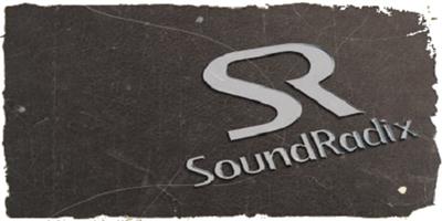 Sound Radix Collection 07.01.2016 (Mac OS X) 160905