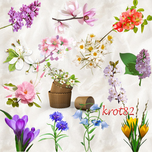 Цветочный клипарт PNG на прозрачном фоне – Весенние цветы и распустившиеся цветочные ветки деревьев 