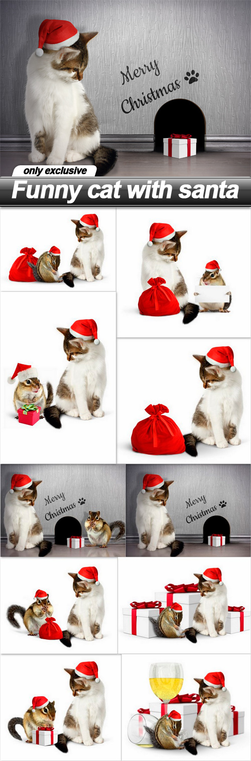 Funny cat with santa - 10 UHQ JPEG