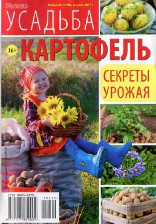  Усадьба №2 (апрель 2015). Картофель   