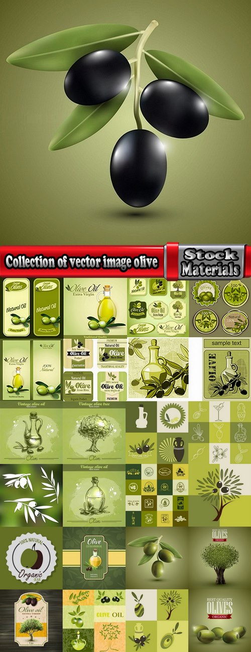 Collection of vector image olive olive tree food meal 25 EPS