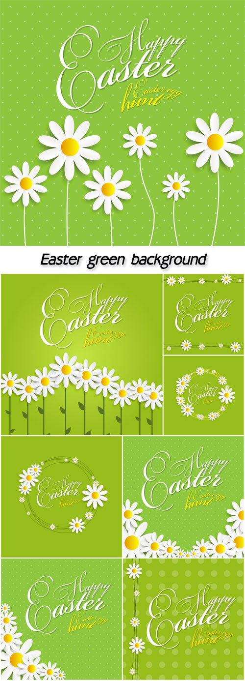 Easter green background with daisies