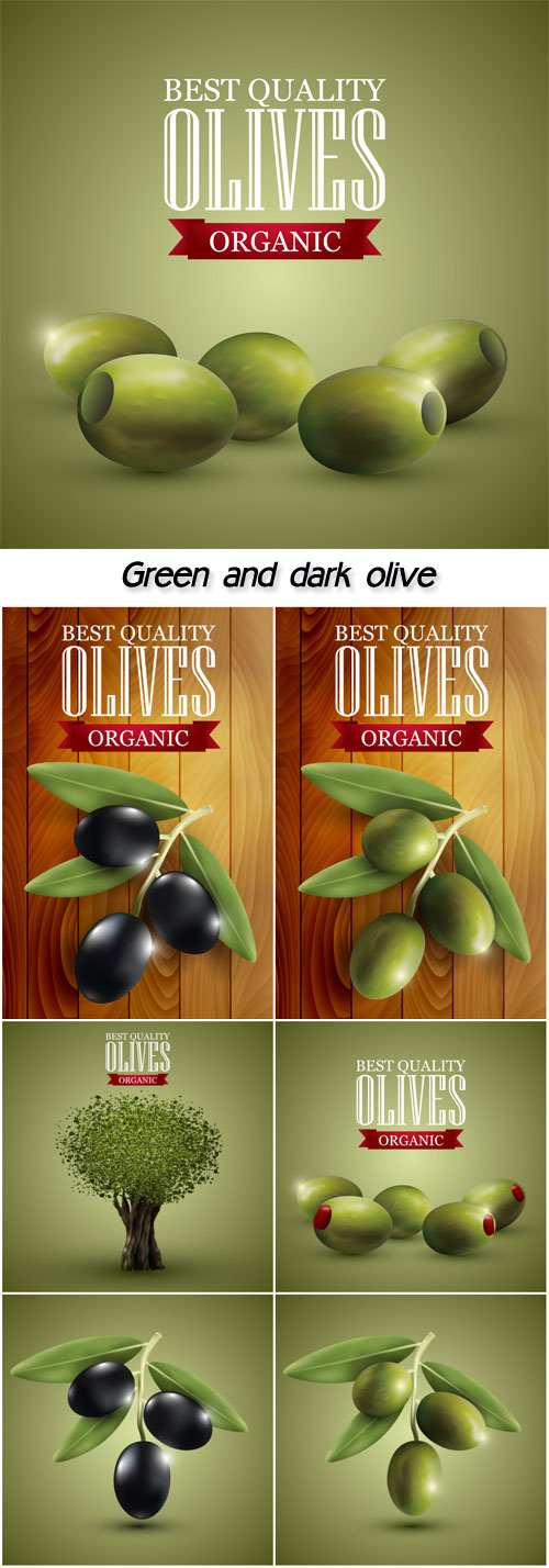Green and dark olive branches on a green background