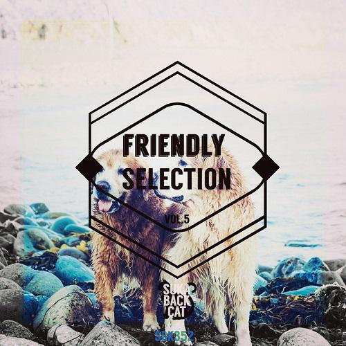 Friendly Selection Vol.5 (2016)