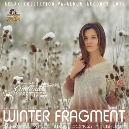 Winter Fragment Relax Party (2016)