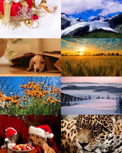 Wallpapers Mix №346