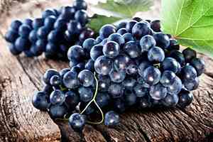 Кишмиш Черный: описание сорта. Среди всего многообразия сортов винограда, кишмишные ...