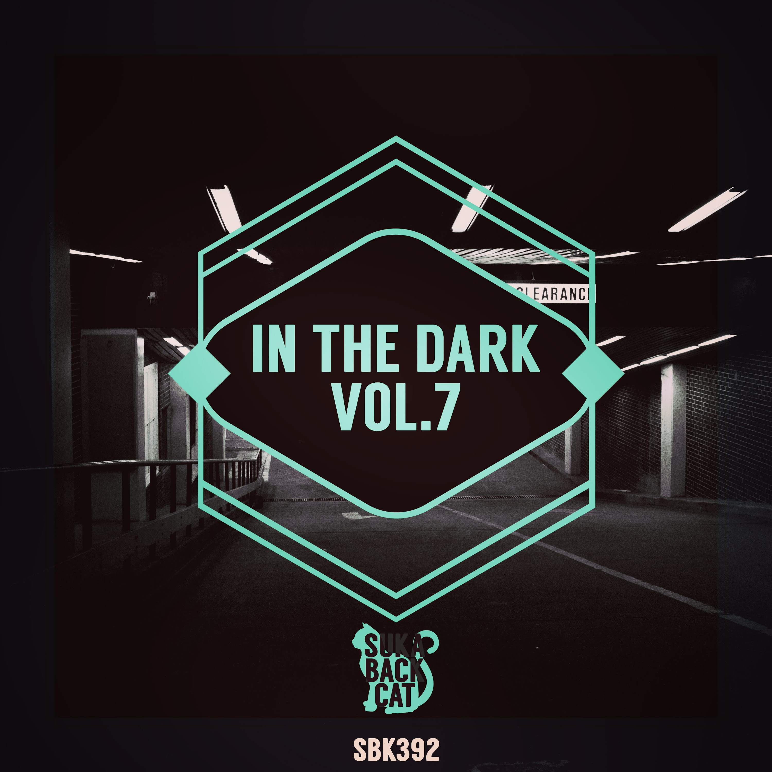 In the Dark, Vol. 7 (2016)