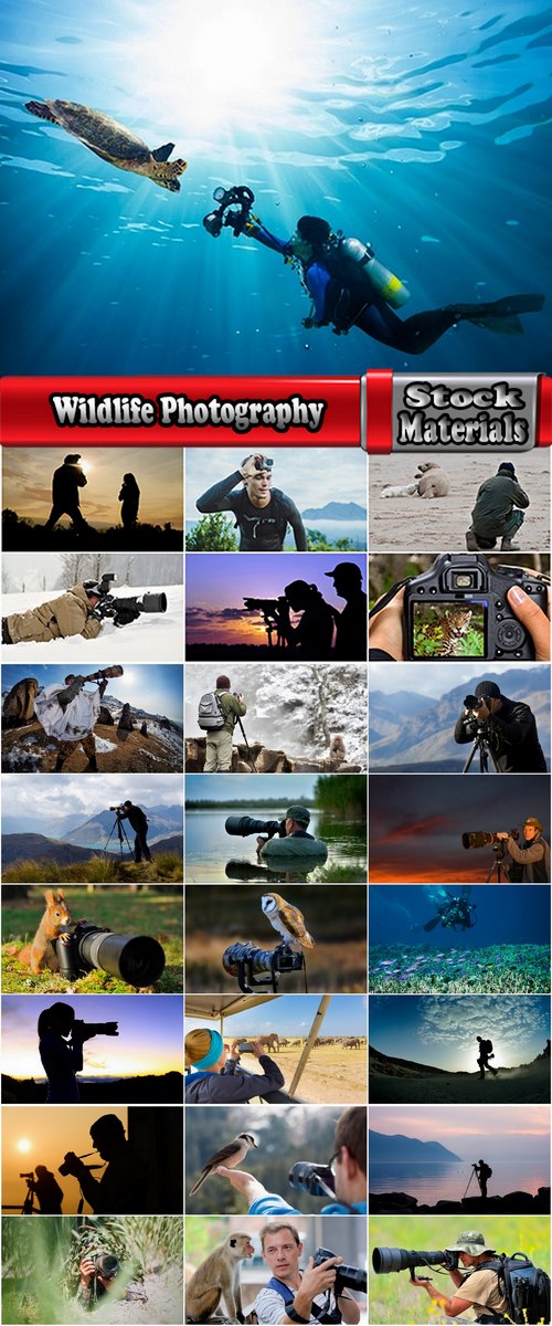 Wildlife Photography Collection photography Photo camera animals nature 25 HQ Jpeg
