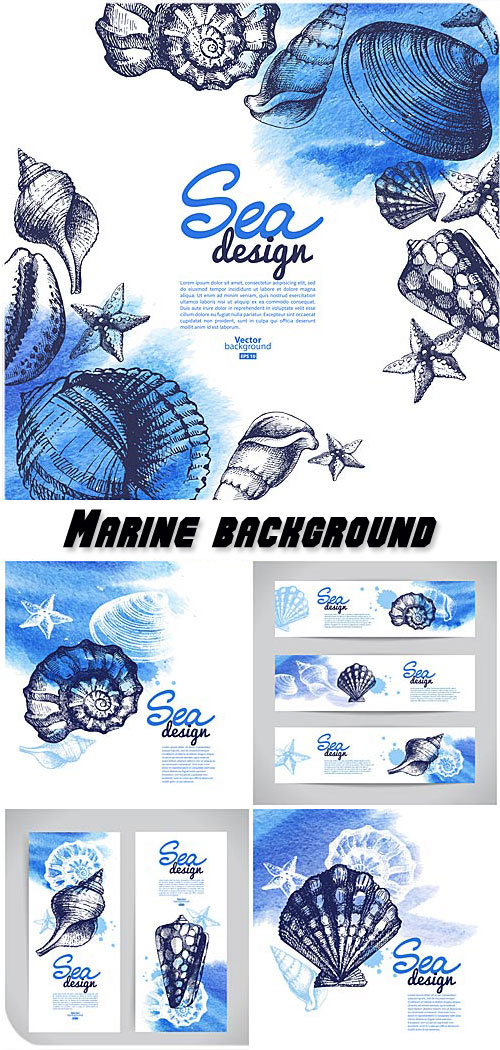 Marine background and banner in vector