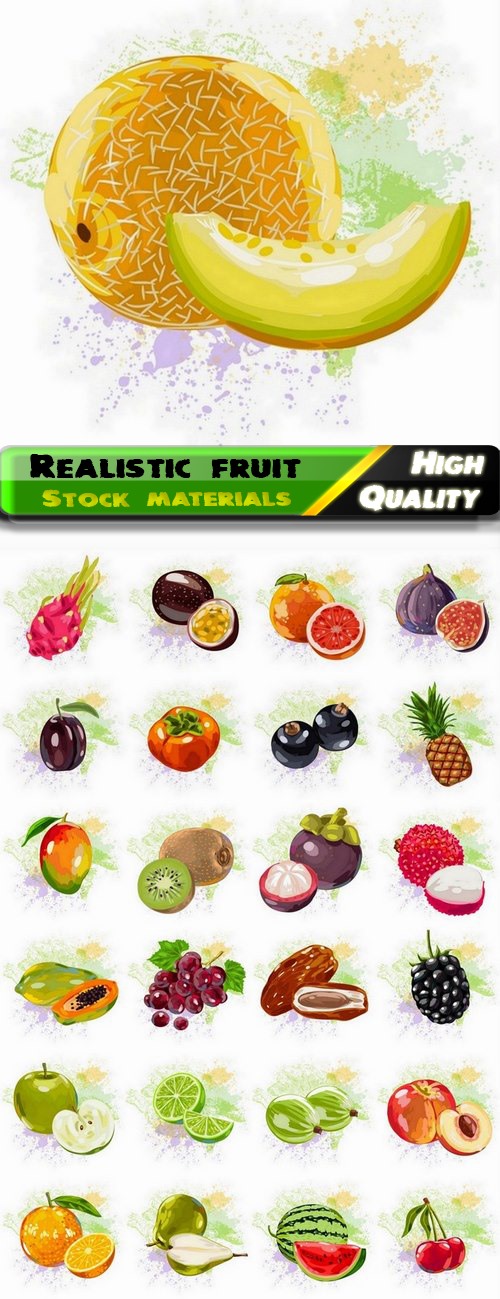 Realistic illustration of watercolor fruit - 25 Eps