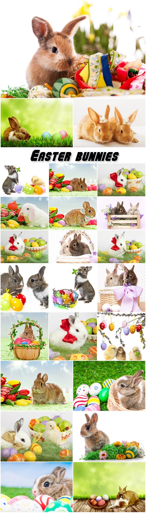 Easter bunnies, chicks, spring backgrounds