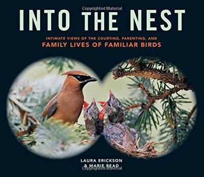 Into the Nest Intimate Views of the Courting, Parenting, and Family Lives of Familiar Birds
