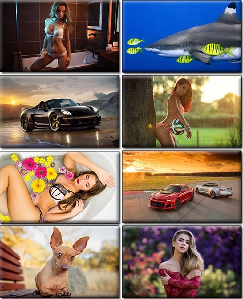 LIFEstyle News MiXture Images. Wallpapers Part (955)