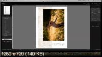 Обработка фотографий в Adobe Lightroom СС (2014) Вебинар