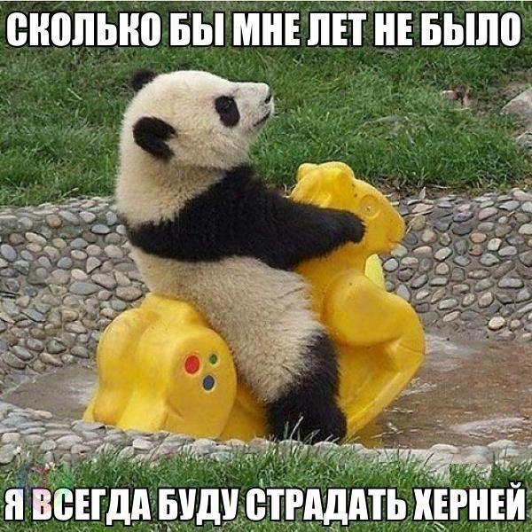 http://i75.fastpic.ru/big/2016/0219/30/66f740f009695c01813d0e09757c8330.jpg
